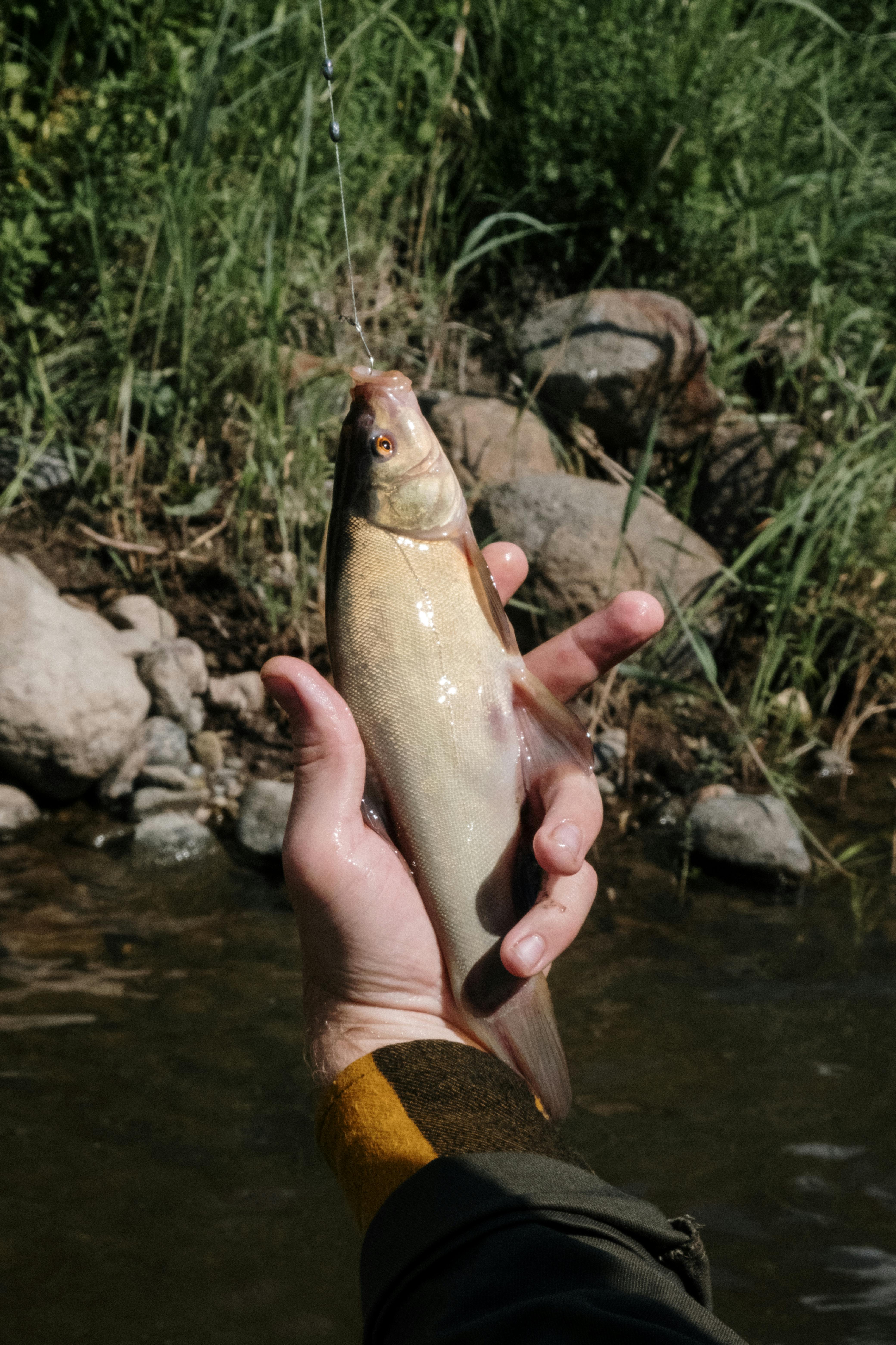 Concours de pêche