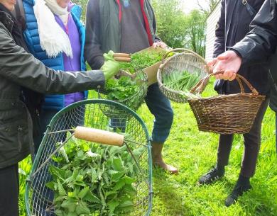 atelier nature et cuisine