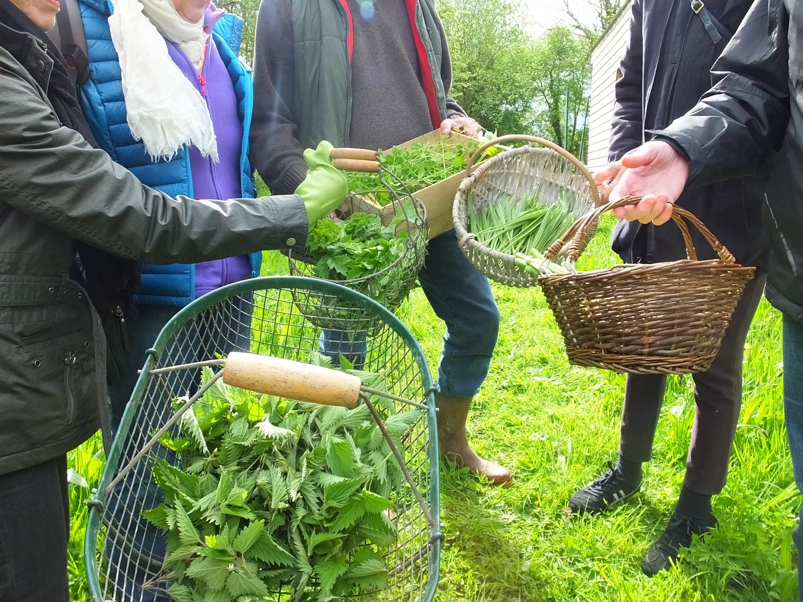 atelier nature et cuisine