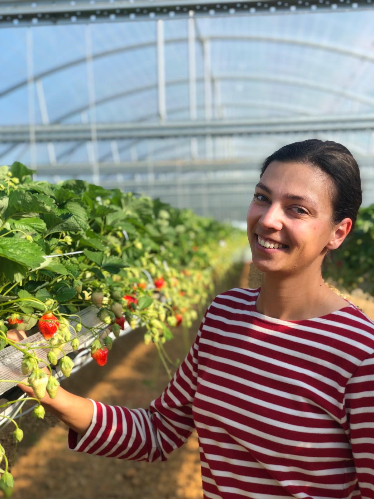 potager du haut clocher