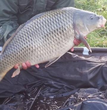 prise1©étang communal des prés de l'église