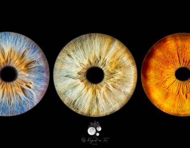 5 iris Format panoramique 