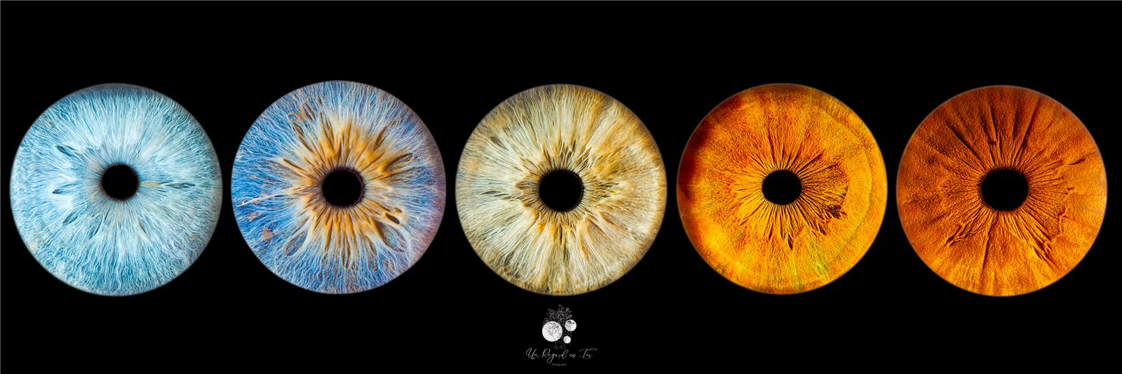 5 iris Format panoramique 