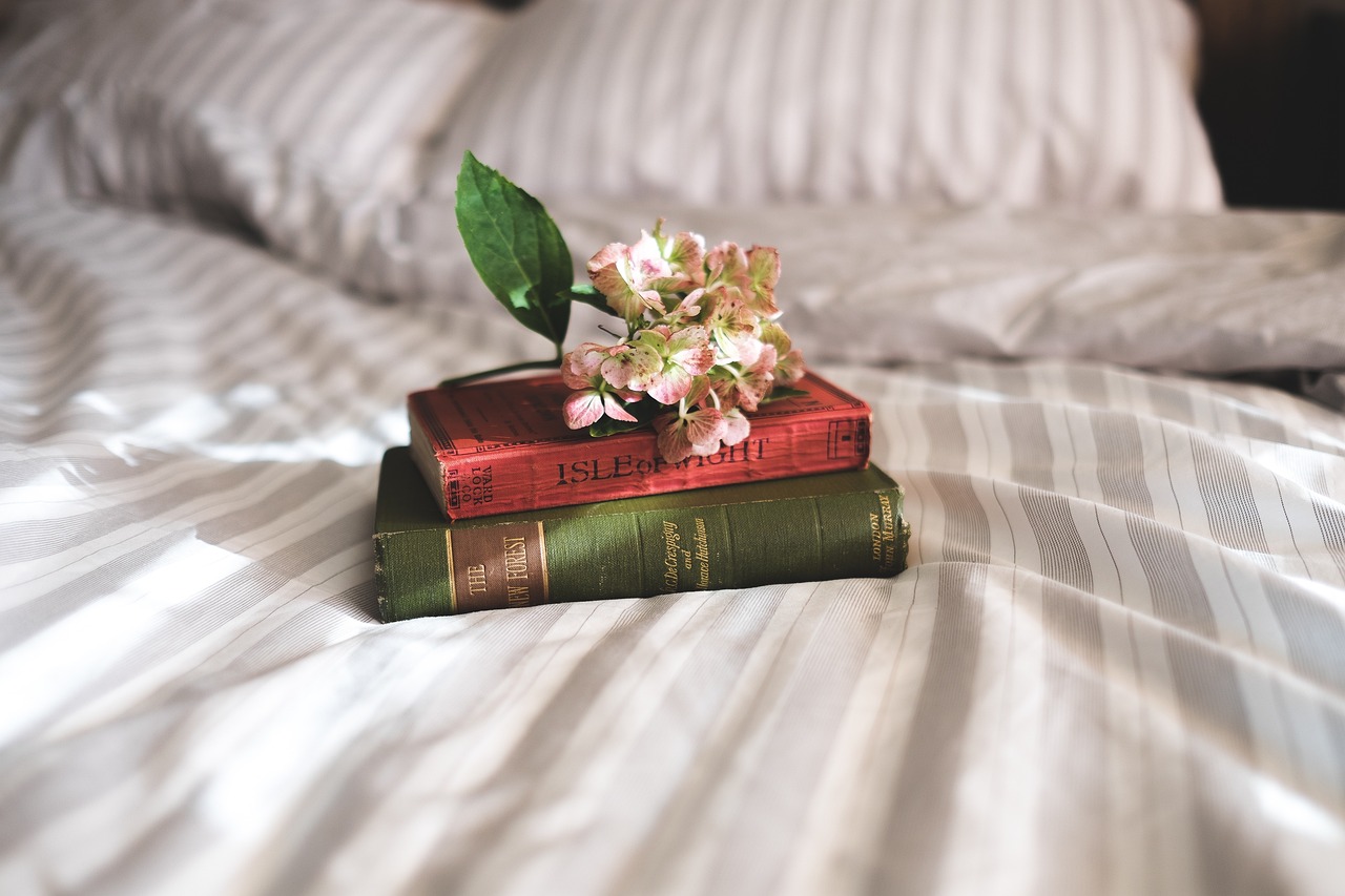 stocksnap-books-2619265_1280
