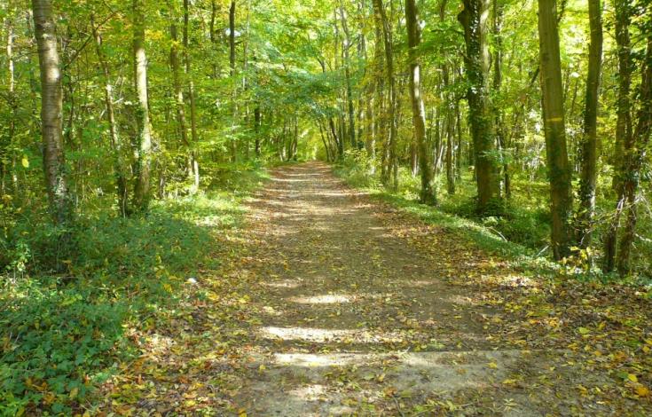 Le Jardin des roseaux