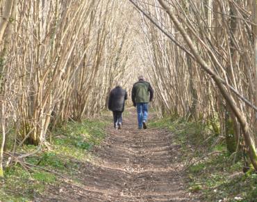 Randonnée dans le bois de Chambors