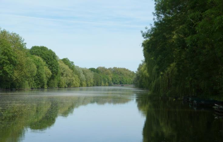 Le grand canal