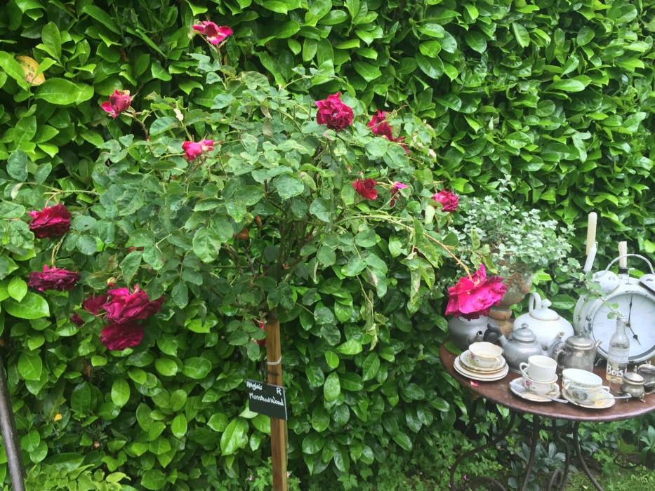 thumb-5c2395a562686-2