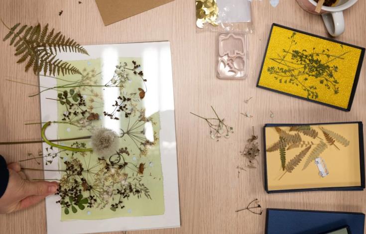 venez-faire-des-cyanotypes-une-autre-experience-de-la-photo_3_4